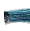 Extension Gardien Color 1 clip 55cm Couleur B20 - Brun méché Turquoise / Turquoise Extension Gardien Color 1 clip 55cm Couleur B20 - Brun méché Turquoise / Turquoise
