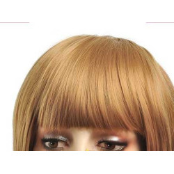 Frange à clips 15cm Couleur 14 - Blond foncé