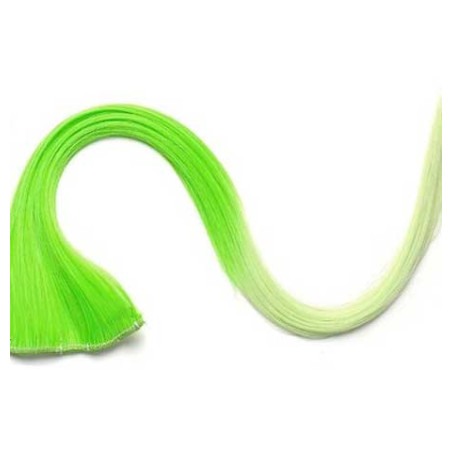 Extension Gardien Color 1 clip 55cm Couleur K10 - Vert / Vert clair