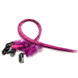 Extension plume 35 Couleur Rose